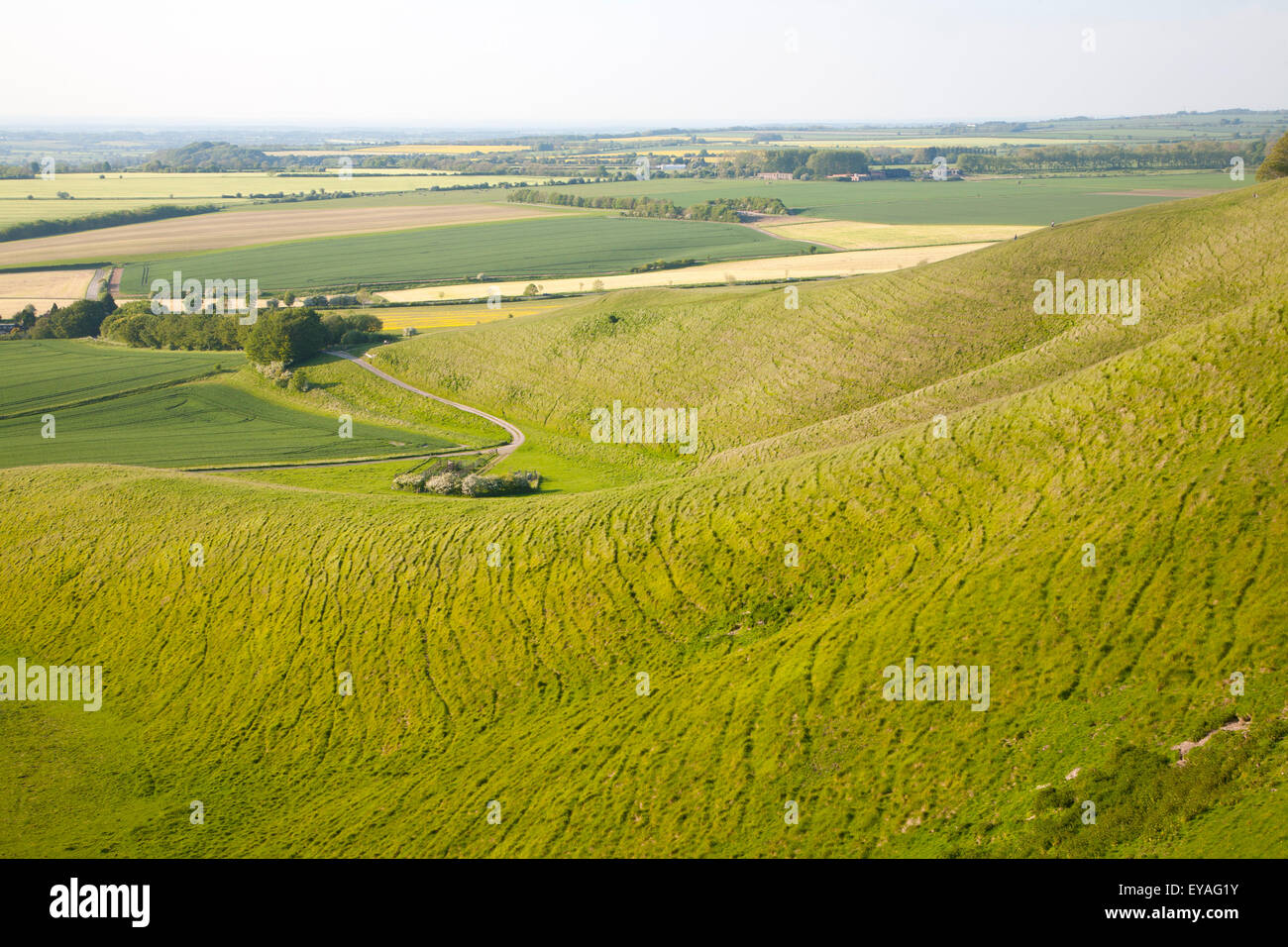 Vista estiva di campi arabili e chalk paesaggio dal basso Cherhill scarpata, Wiltshire, Inghilterra, Regno Unito Foto Stock