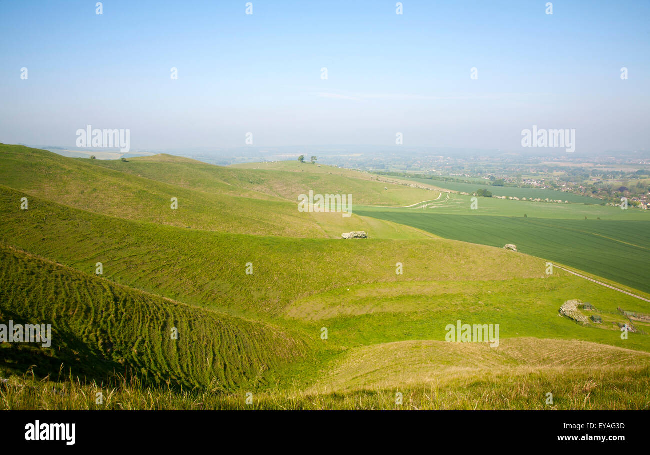 Vista estiva campi arabili chalk paesaggio dal basso Cherhill scarpata, Wiltshire, Inghilterra, Regno Unito Foto Stock