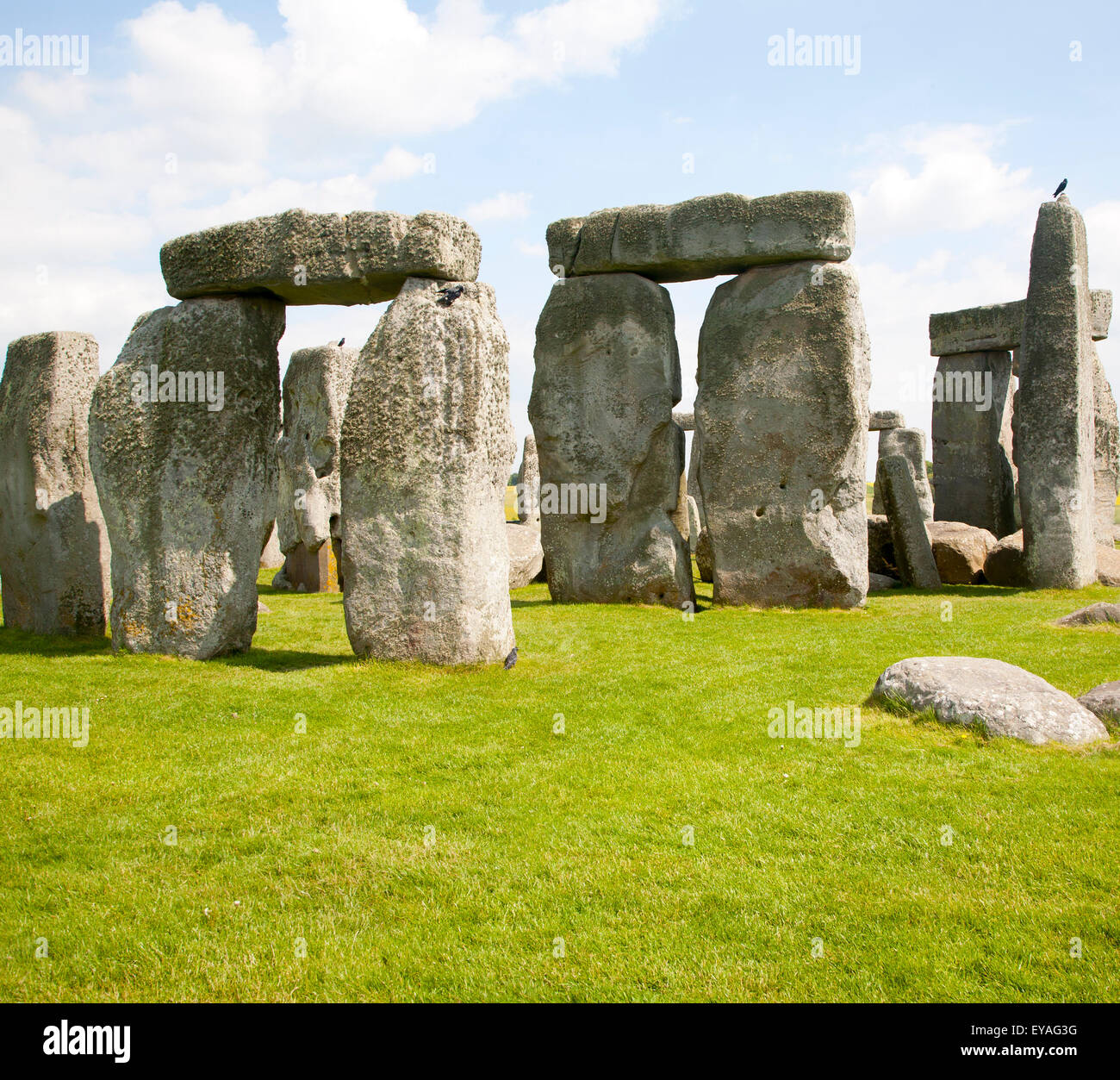 Eredità di Mondo henge sito neolitico di pietre permanente a Stonehenge, Amesbury, Wiltshire, Inghilterra, Regno Unito Foto Stock