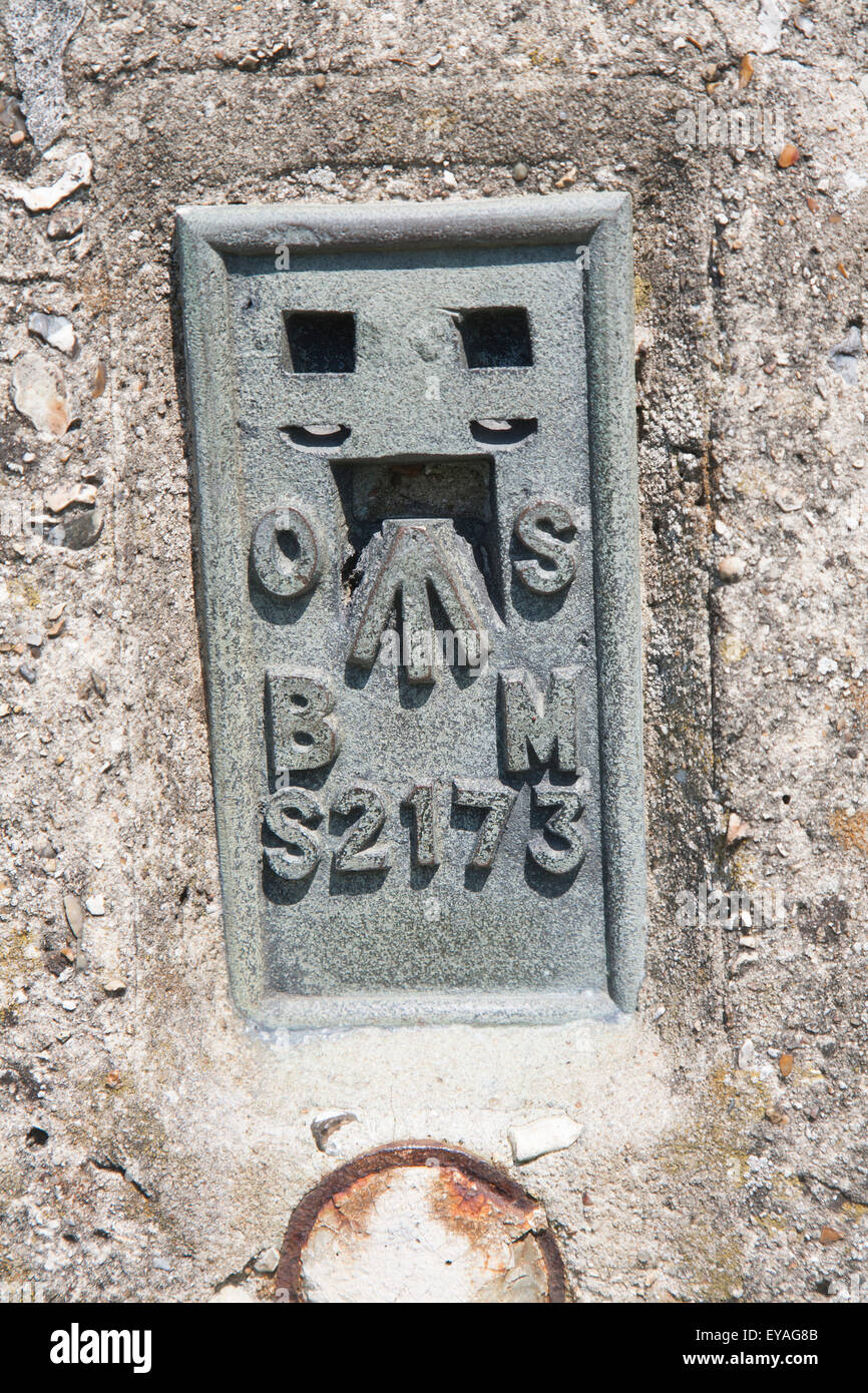 Benchmark su montante di triangolazione su chalk hilltop Giant's grave, nei pressi di Osono, Wiltshire, Inghilterra, Regno Unito Foto Stock