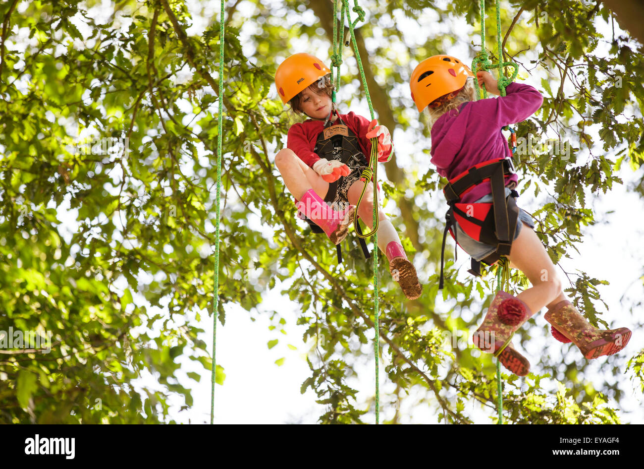 Charlton Park, Wiltshire, Regno Unito. Xxv Luglio, 2015. Bambini arrampicarsi sugli alberi DEL FESTIVAL WOMAD tenutasi a Charlton Park, nel Gloucestershire. Il 25 luglio 2015. Credito: Adam Gasson/Alamy Live News Foto Stock