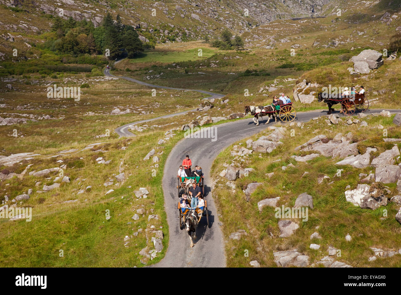 A cavallo e in carrozza su una strada nel gap di Dunloe; Contea di Kerry, Irlanda Foto Stock