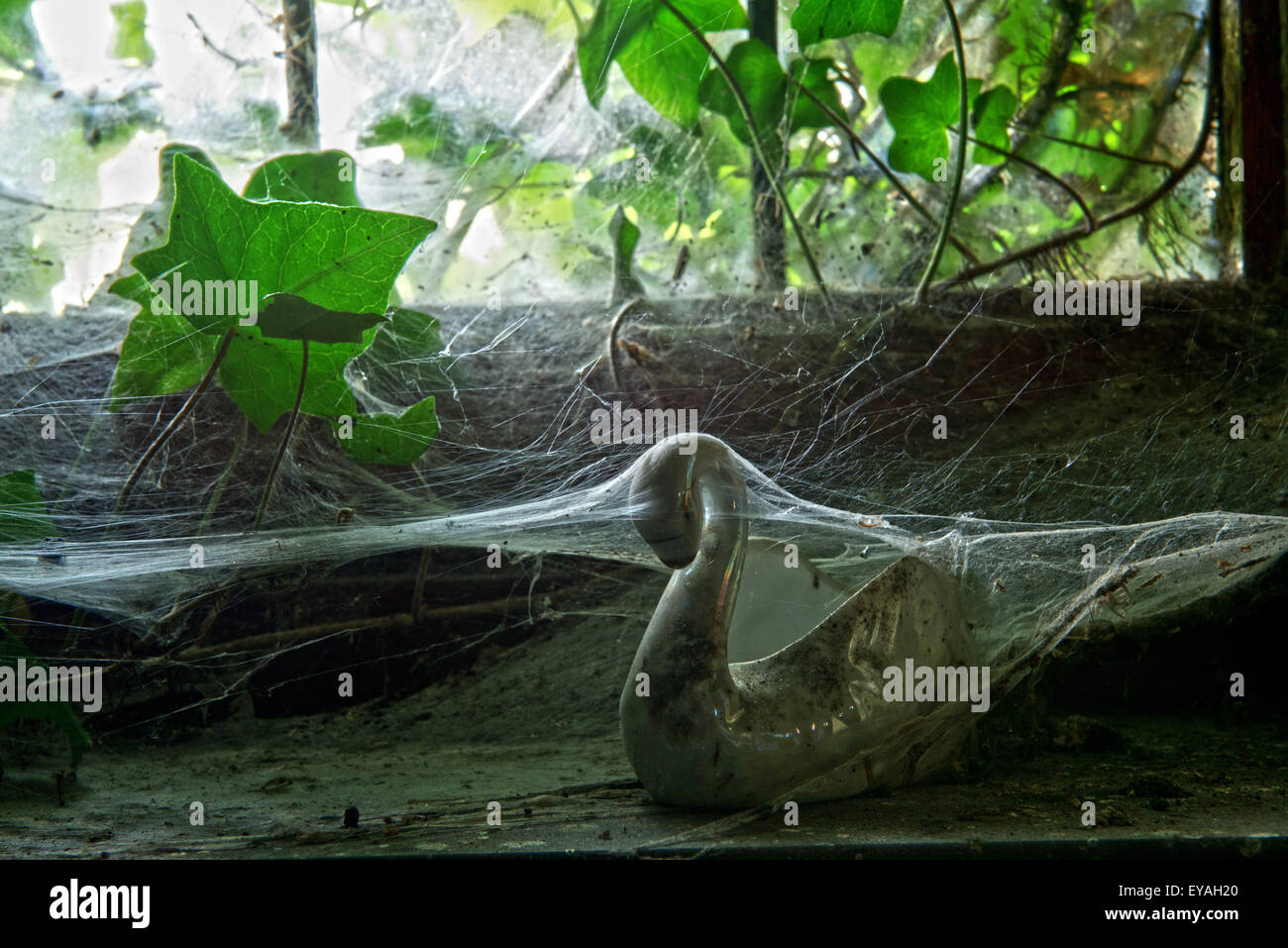 Esplorare urbano di un casale abbandonato in Belgio che ha ancora la maggior parte delle sue caratteristiche e mobili. Foto Stock