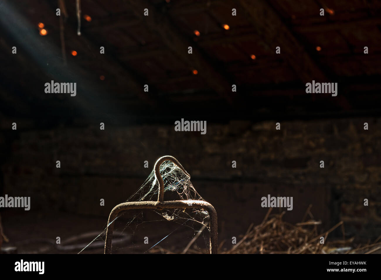 Esplorare urbano di un casale abbandonato in Belgio che ha ancora la maggior parte delle sue caratteristiche e mobili. Foto Stock