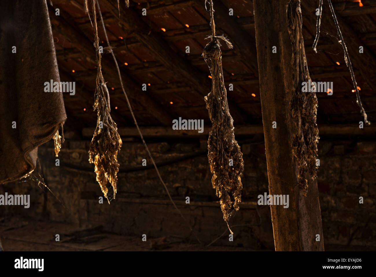 Esplorare urbano di un casale abbandonato in Belgio che ha ancora la maggior parte delle sue caratteristiche e mobili. Foto Stock