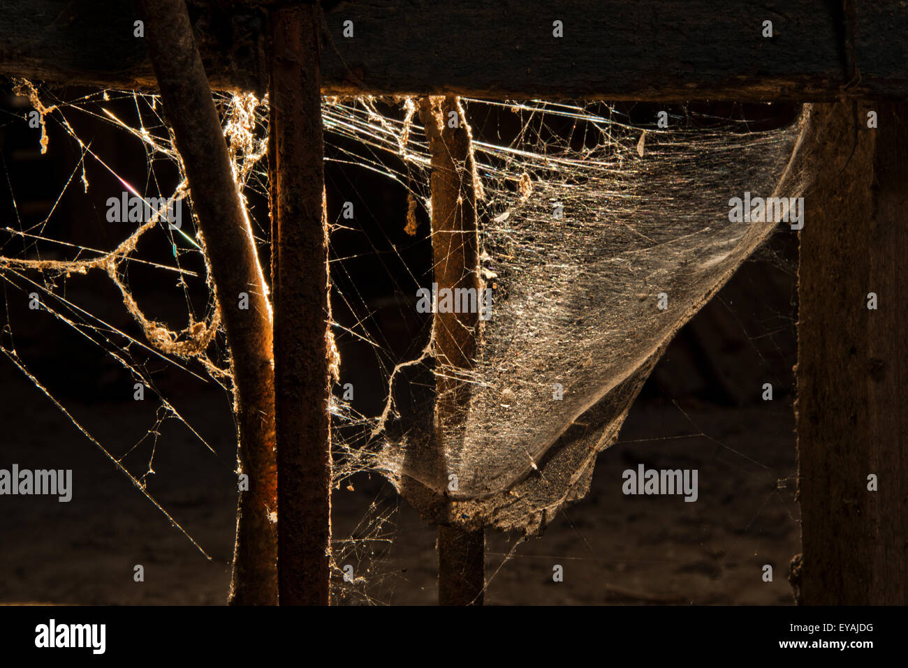 Esplorare urbano di un casale abbandonato in Belgio che ha ancora la maggior parte delle sue caratteristiche e mobili. Foto Stock