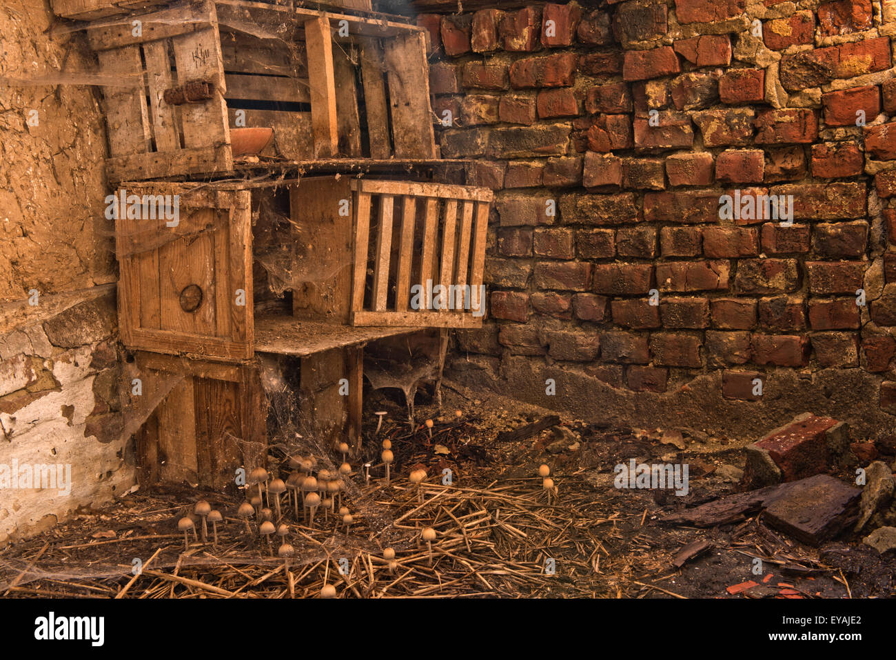 Esplorare urbano di un casale abbandonato in Belgio che ha ancora la maggior parte delle sue caratteristiche e mobili. Foto Stock