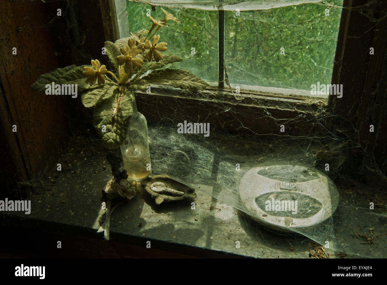 Esplorare urbano di un casale abbandonato in Belgio che ha ancora la maggior parte delle sue caratteristiche e mobili. Foto Stock