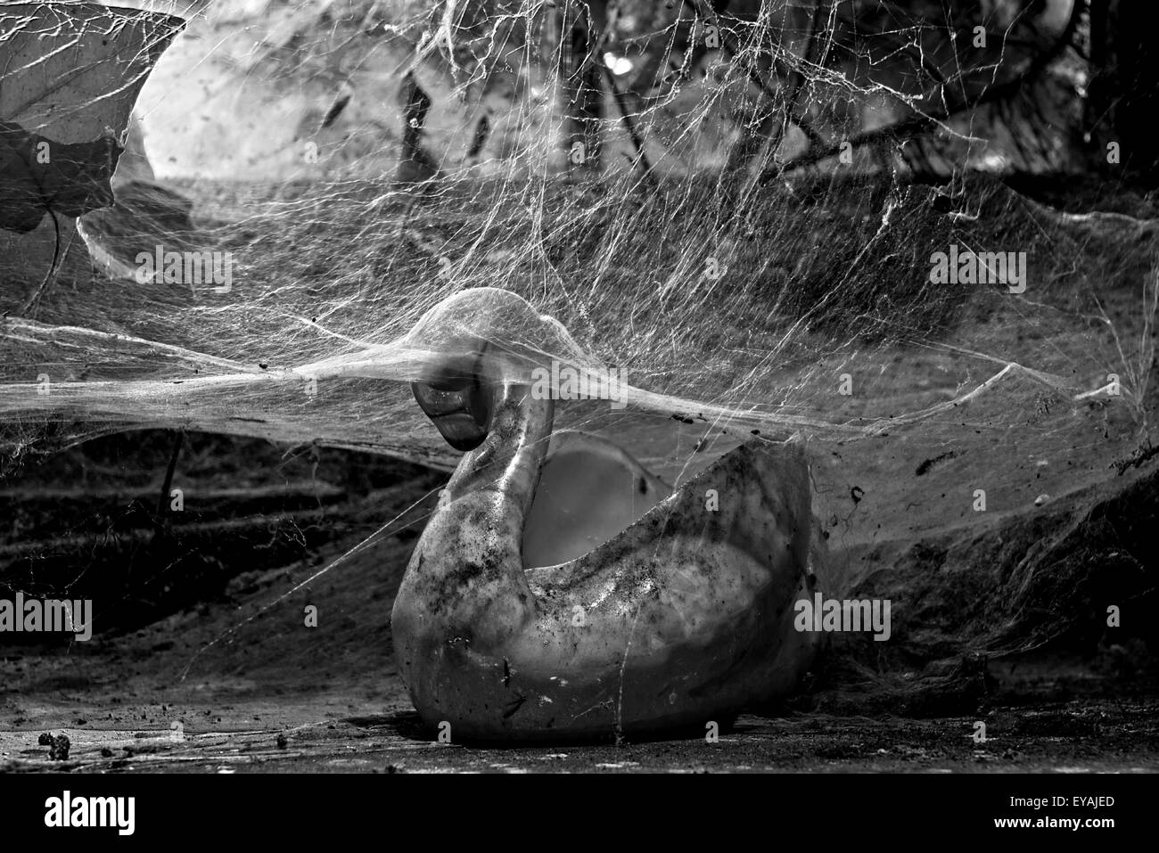 Esplorare urbano di un casale abbandonato in Belgio che ha ancora la maggior parte delle sue caratteristiche e mobili. Foto Stock
