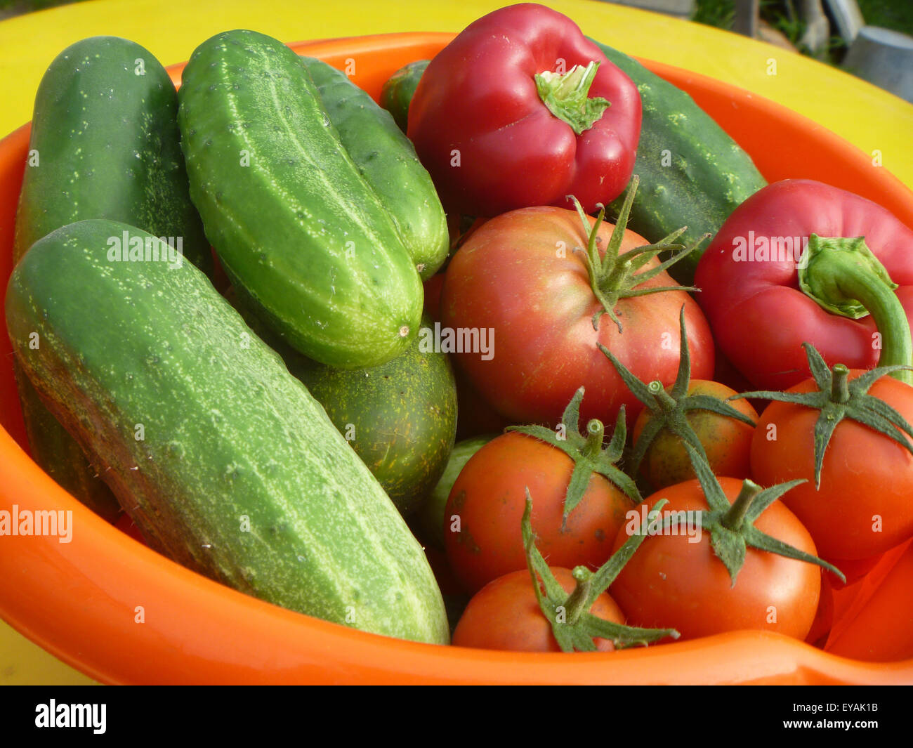 Sfondo di cetriolo, pomodoro, pepe Foto Stock