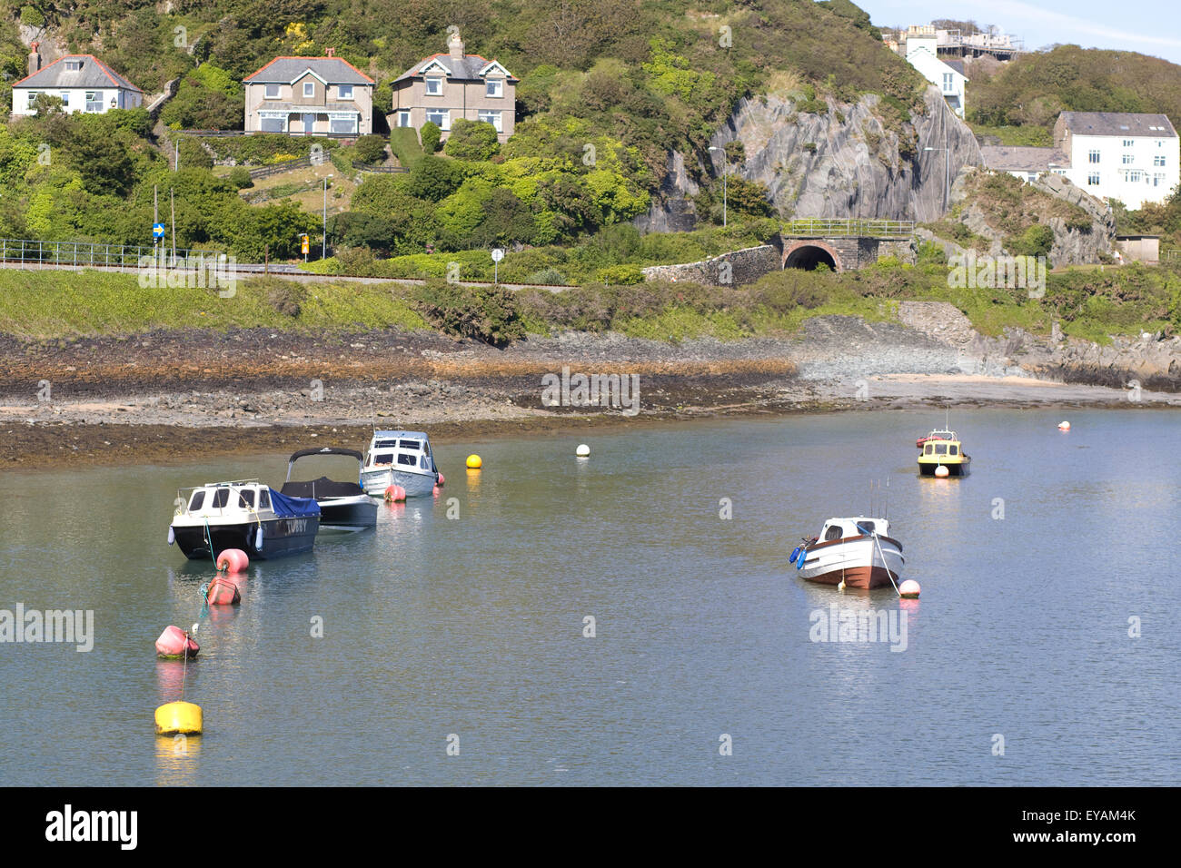 Le barche nel porto in barmouth Galles Foto Stock