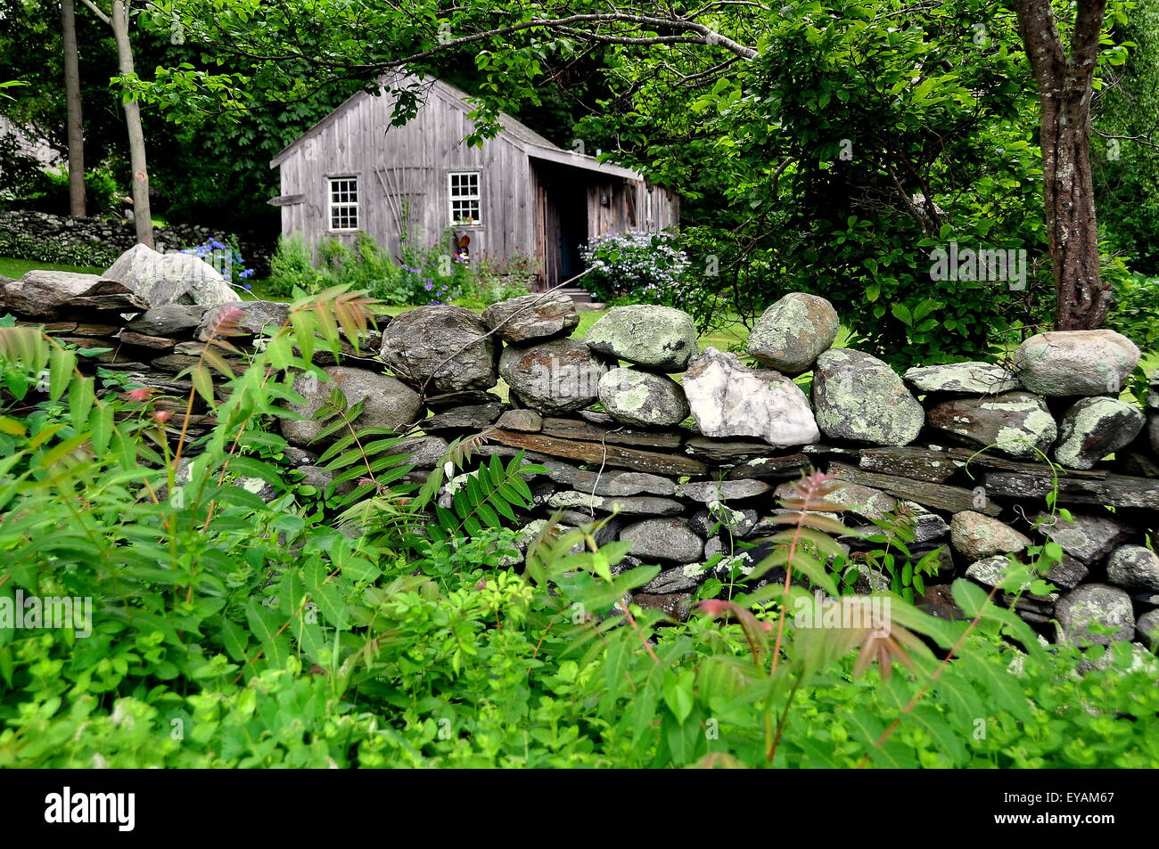 Jamestown, Rhode Island: di legno del custode Cottage e il muro di pietra al 1796 Watson Farm su Conanicut Island Foto Stock