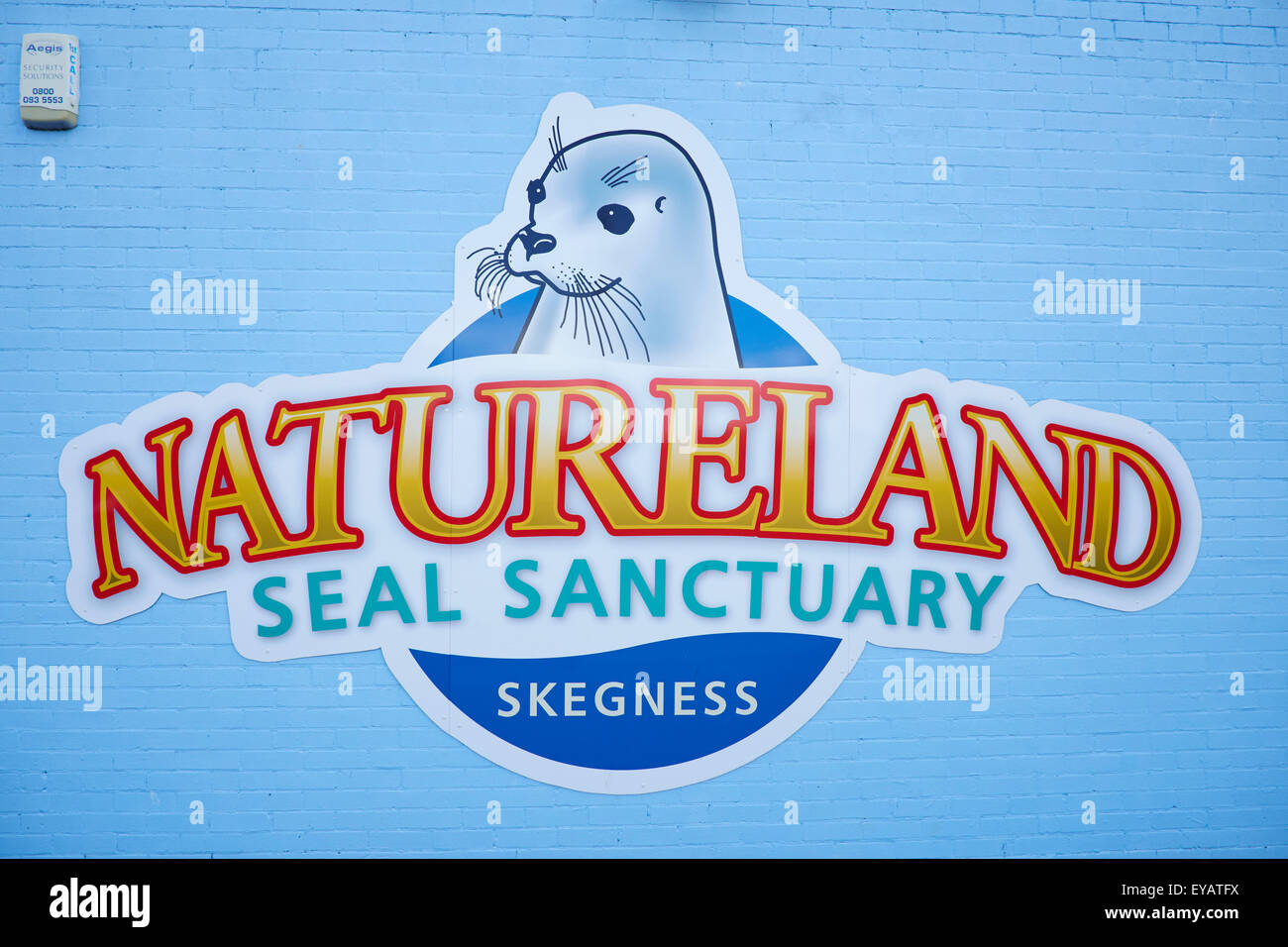 Guarnizione Natureland Santuario North Parade Skegness Lincolnshire UK Foto Stock