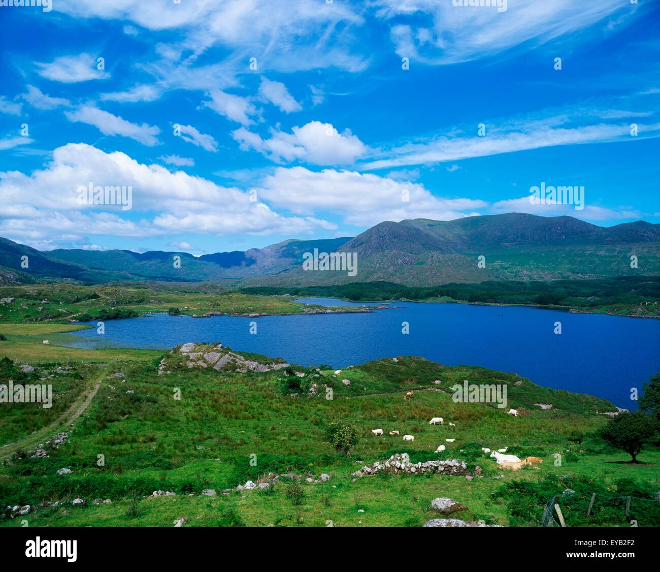 Lough Currane, Ring Of Kerry, Co. Kerry, Irlanda Foto Stock