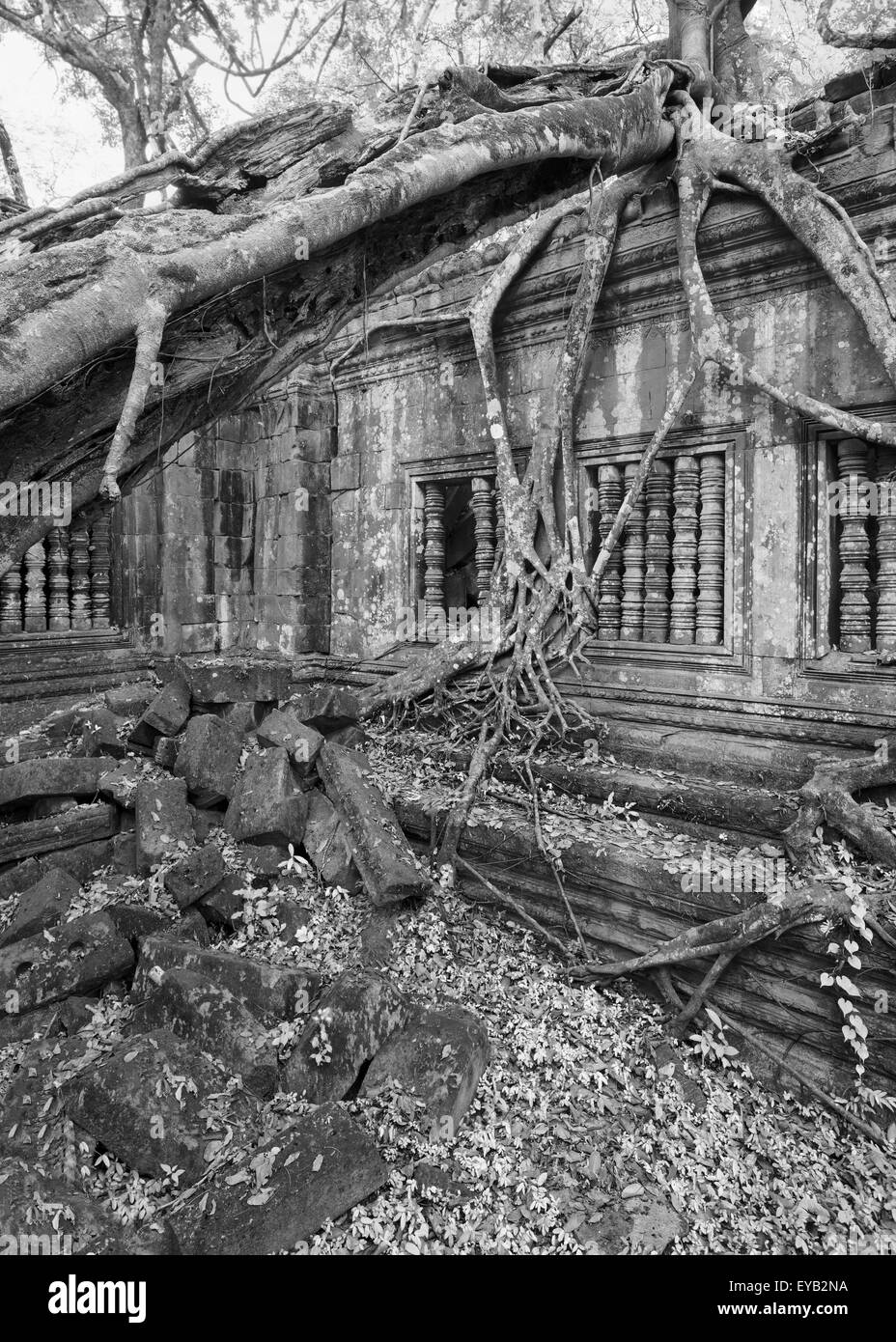 Beng Mealea Tempio ruderi in mezzo ad una giungla foresta Foto Stock