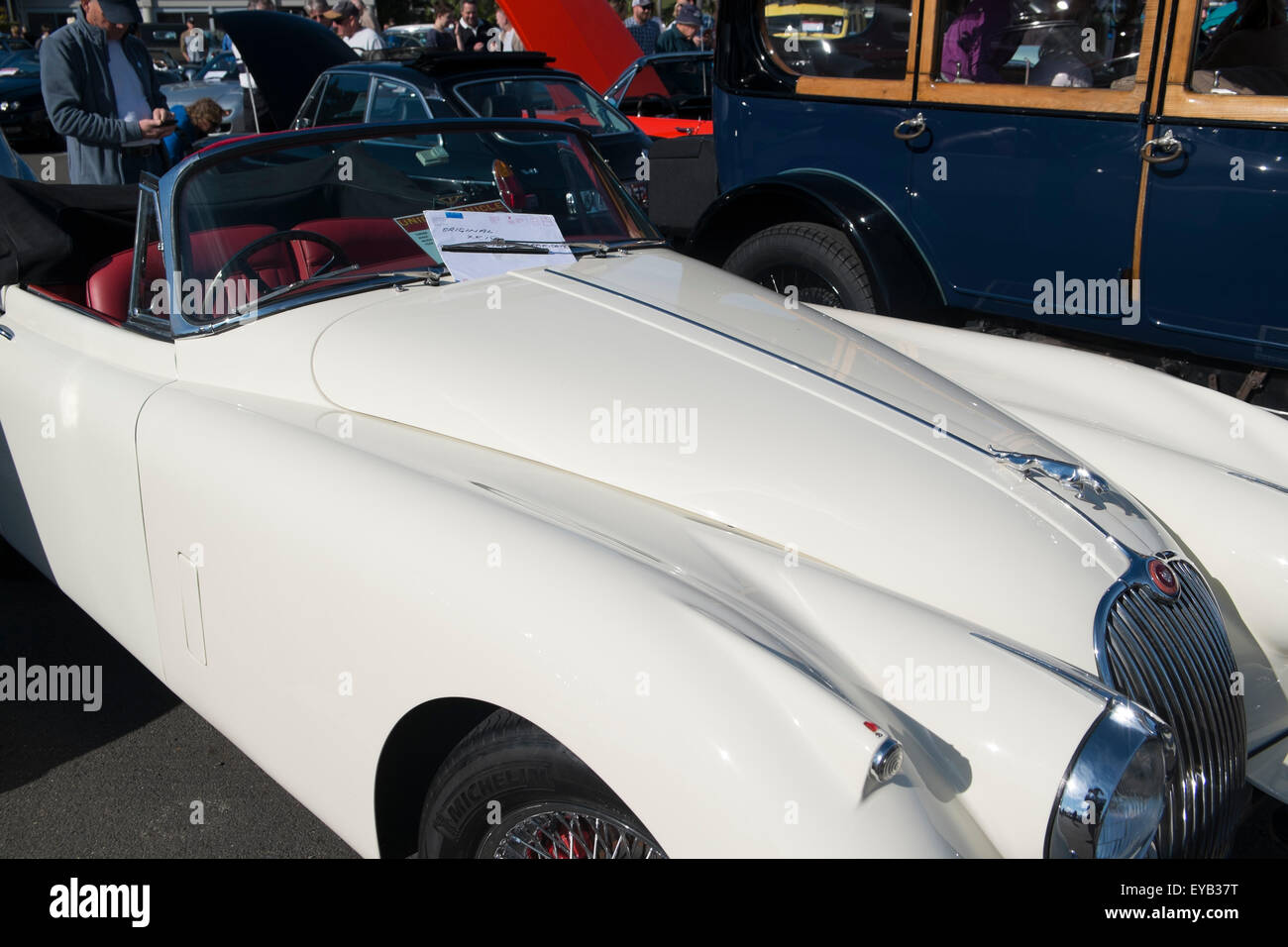 Sydney, Australia. 26 Luglio, 2015. Nella foto la crema 1960 Jaguar XK150 Convertibili rosso con interni in pelle Credit: modello10/Alamy Live News Foto Stock