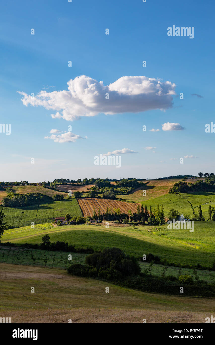 La sera tardi paesaggio nella Lot-et-Garonne, il sud-ovest della Francia Foto Stock