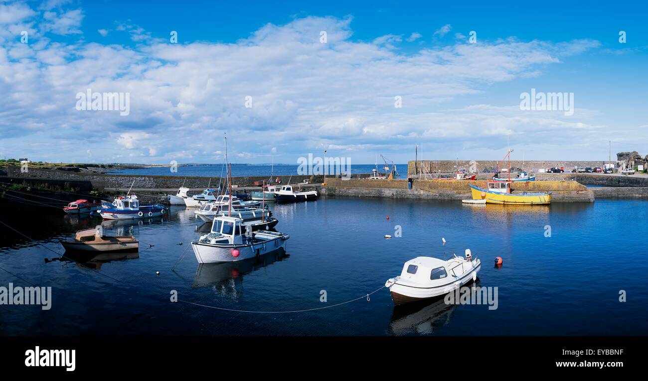 Testa a gancio, Slade, Co Wexford, Irlanda Foto Stock