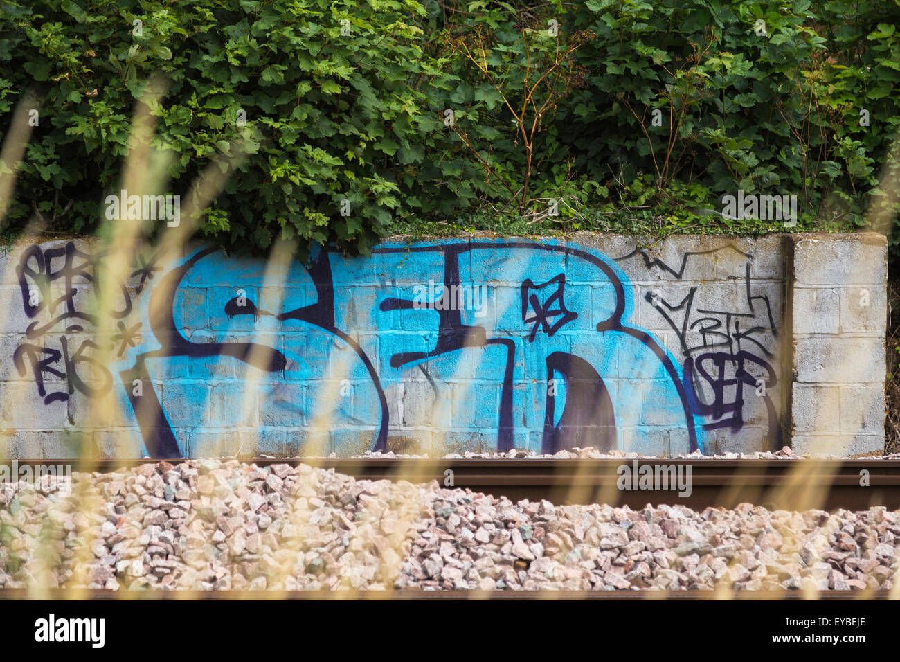 I graffiti sulla parete dal lato di Londra,Tilbury & Southend linea ferroviaria tra vecchi Leigh & Stazioni Chalkwell Foto Stock