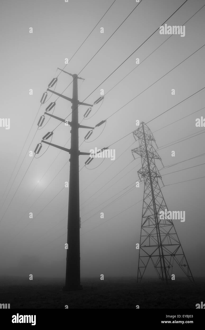 Grande torre di trasmissione con le linee di alimentazione a valle con la nebbia mattutina Foto Stock