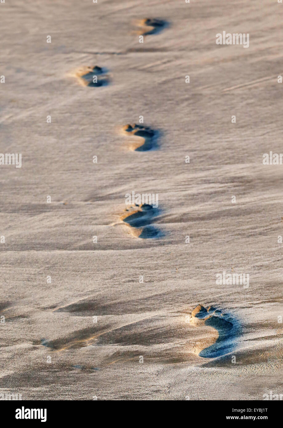 Impronte sulla spiaggia sabbiosa ina una giornata di sole Foto Stock