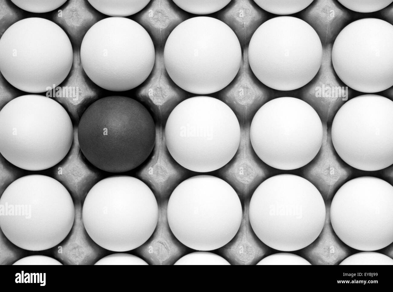 Uova bianche e nere in cartone con un uovo diverso Foto Stock