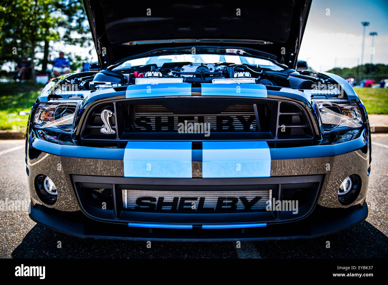 2014 Ford Mustang Shelby Cobra GT500 Foto Stock