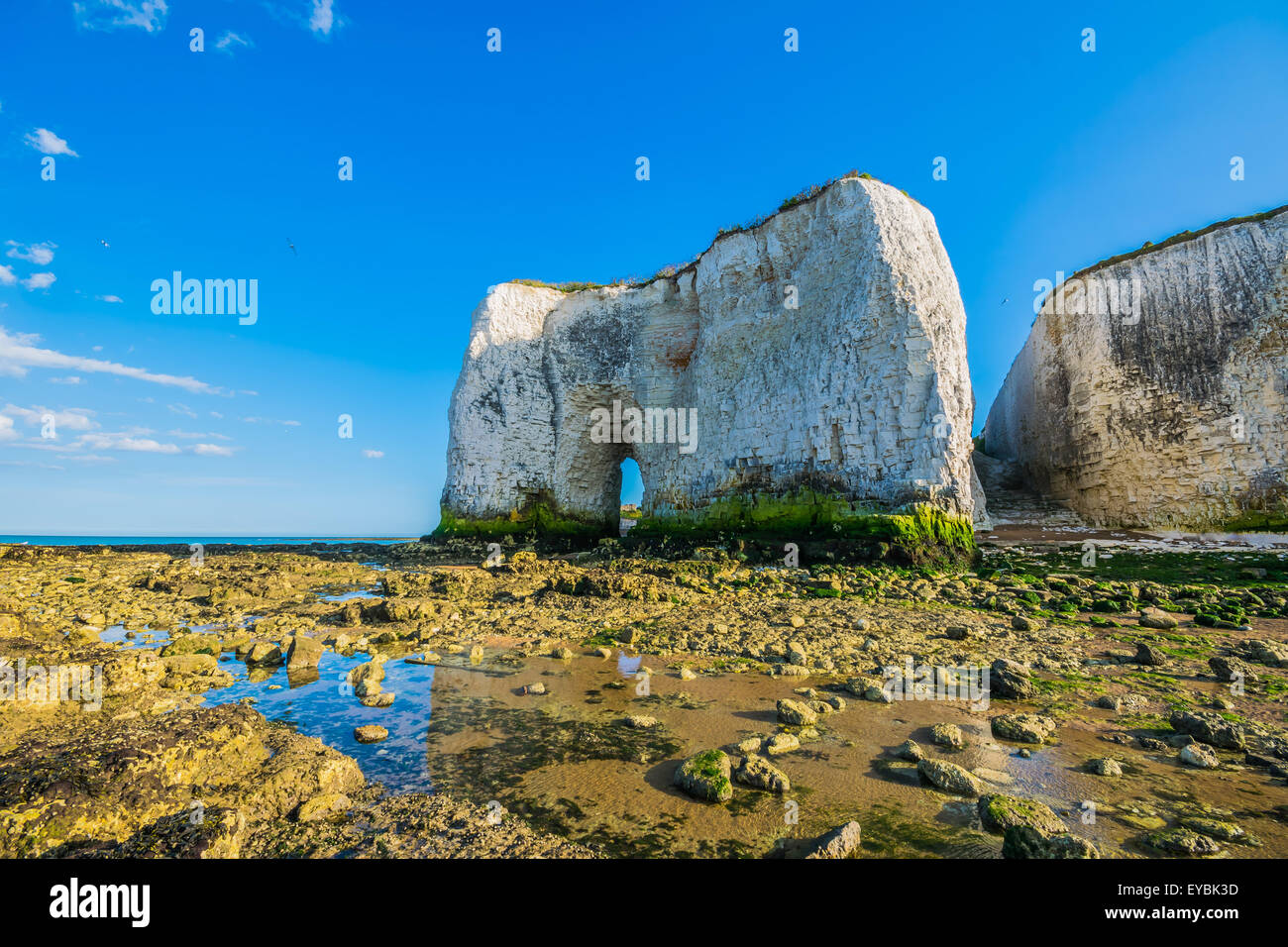 Le scogliere calcaree e arco di Kingsgate Beach e Botany Bay nel Kent Foto Stock