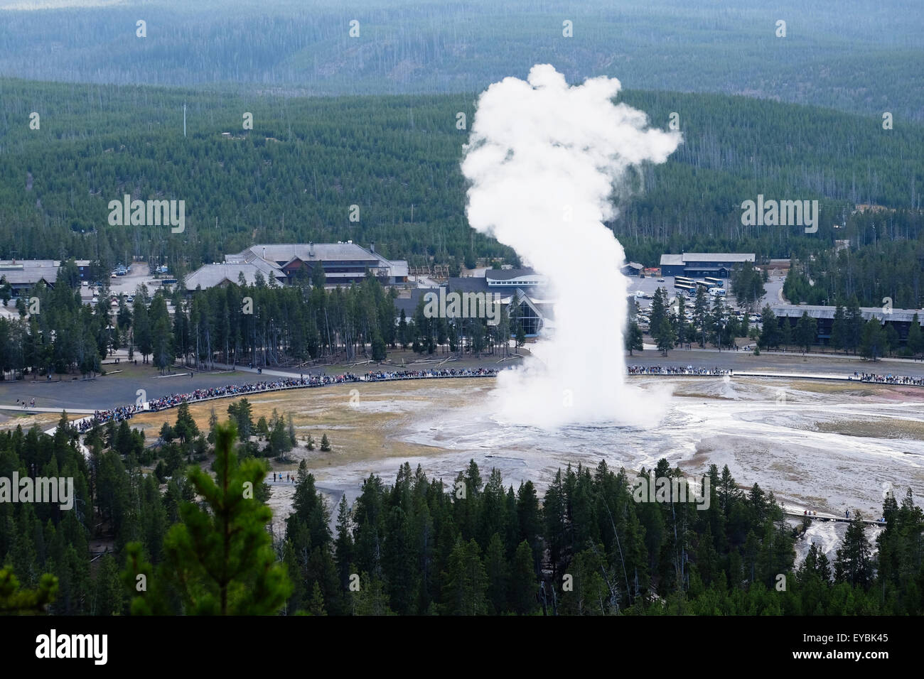 Vista aerea del geyser Old Faithful, Upper Geyser Basin, il Parco Nazionale di Yellowstone, Wyoming USA Foto Stock