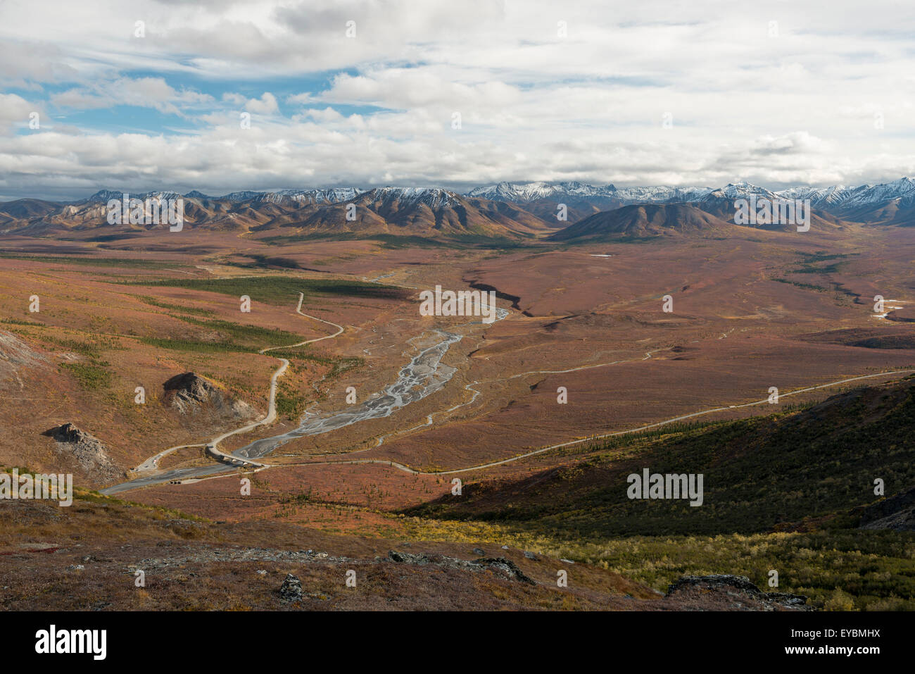 Vista nel Parco Nazionale di Denali da Primrose Ridge Foto Stock