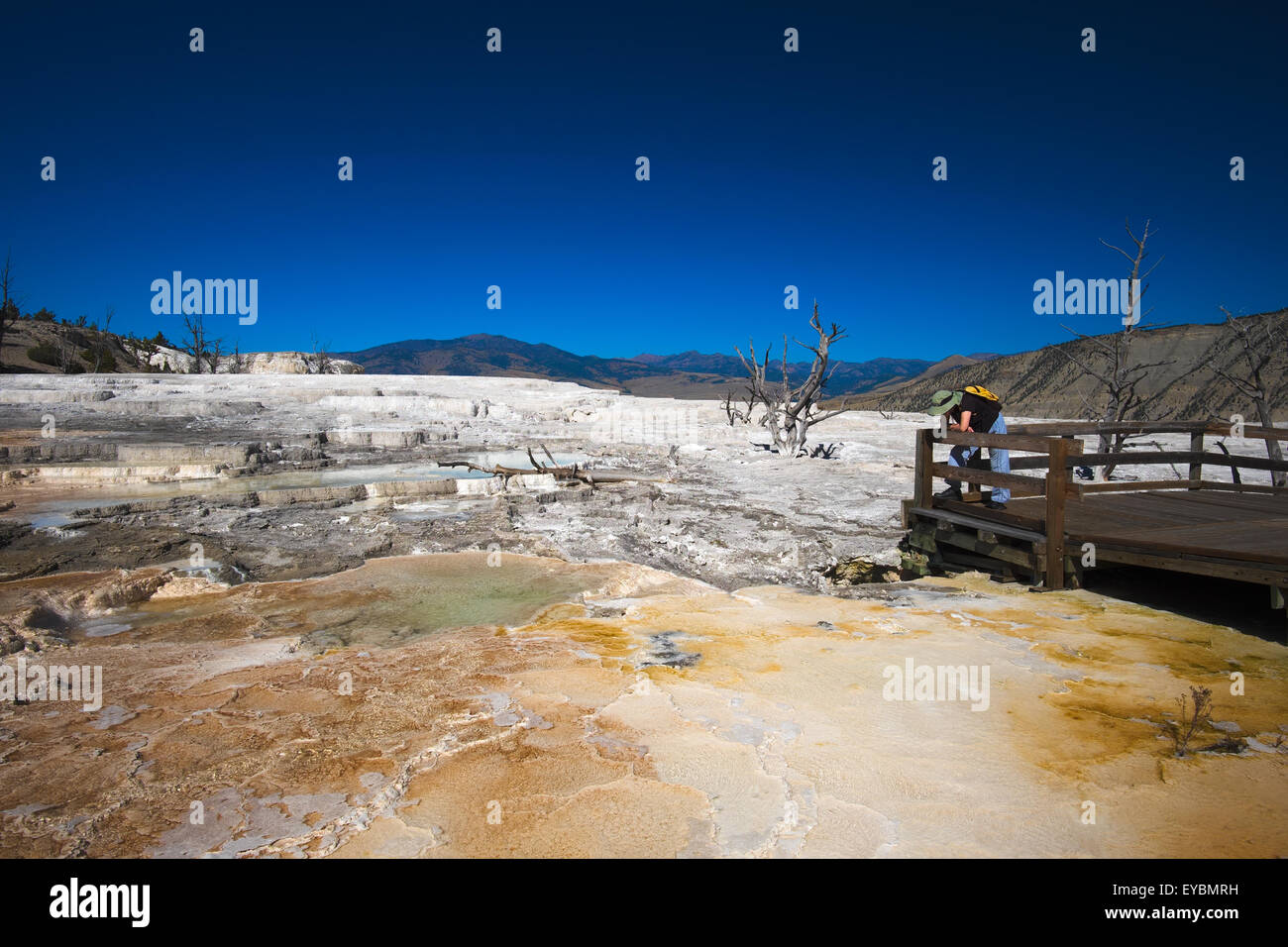 Visitatori del parco a guardare la primavera calda acqua in Mammoth Hot Springs, il Parco Nazionale di Yellowstone, Wyoming USA Foto Stock