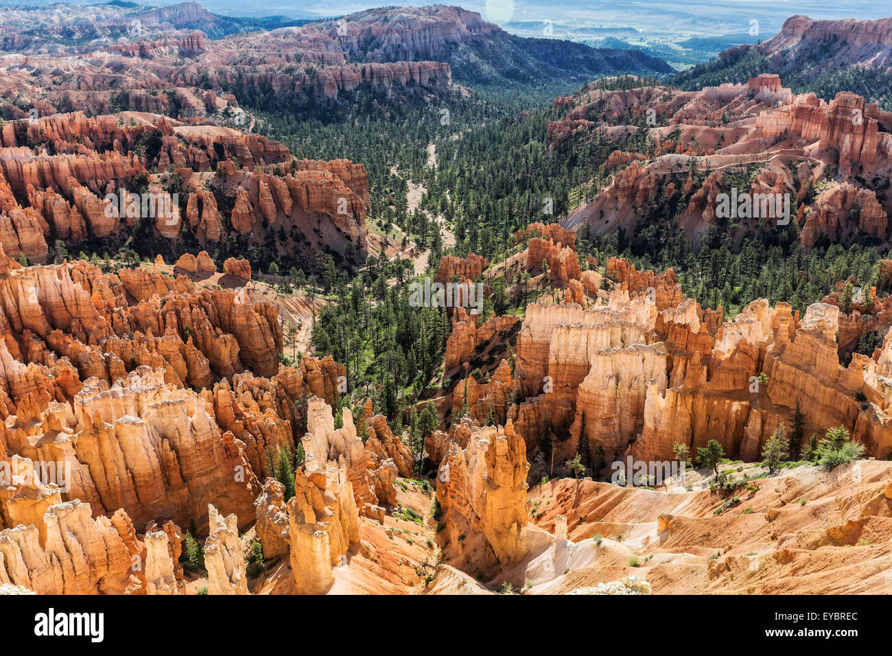 Parco Nazionale di Bryce Canyon, Utah Foto Stock