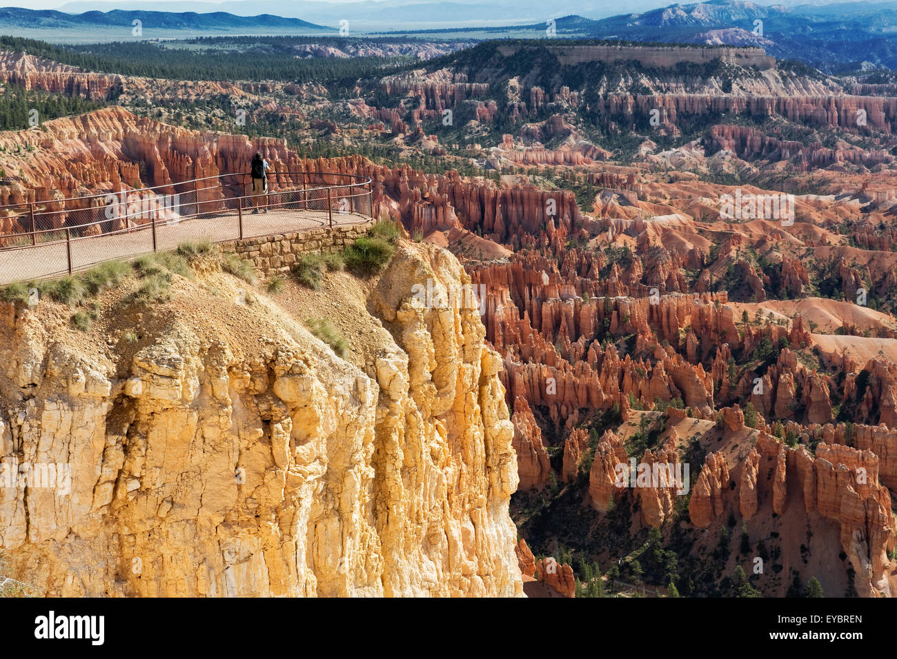 Parco Nazionale di Bryce Canyon, Utah Foto Stock