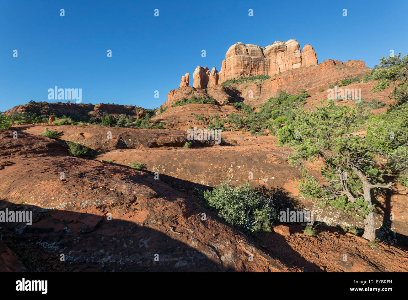 Cattedrale Rock, Sedona, in Arizona Foto Stock