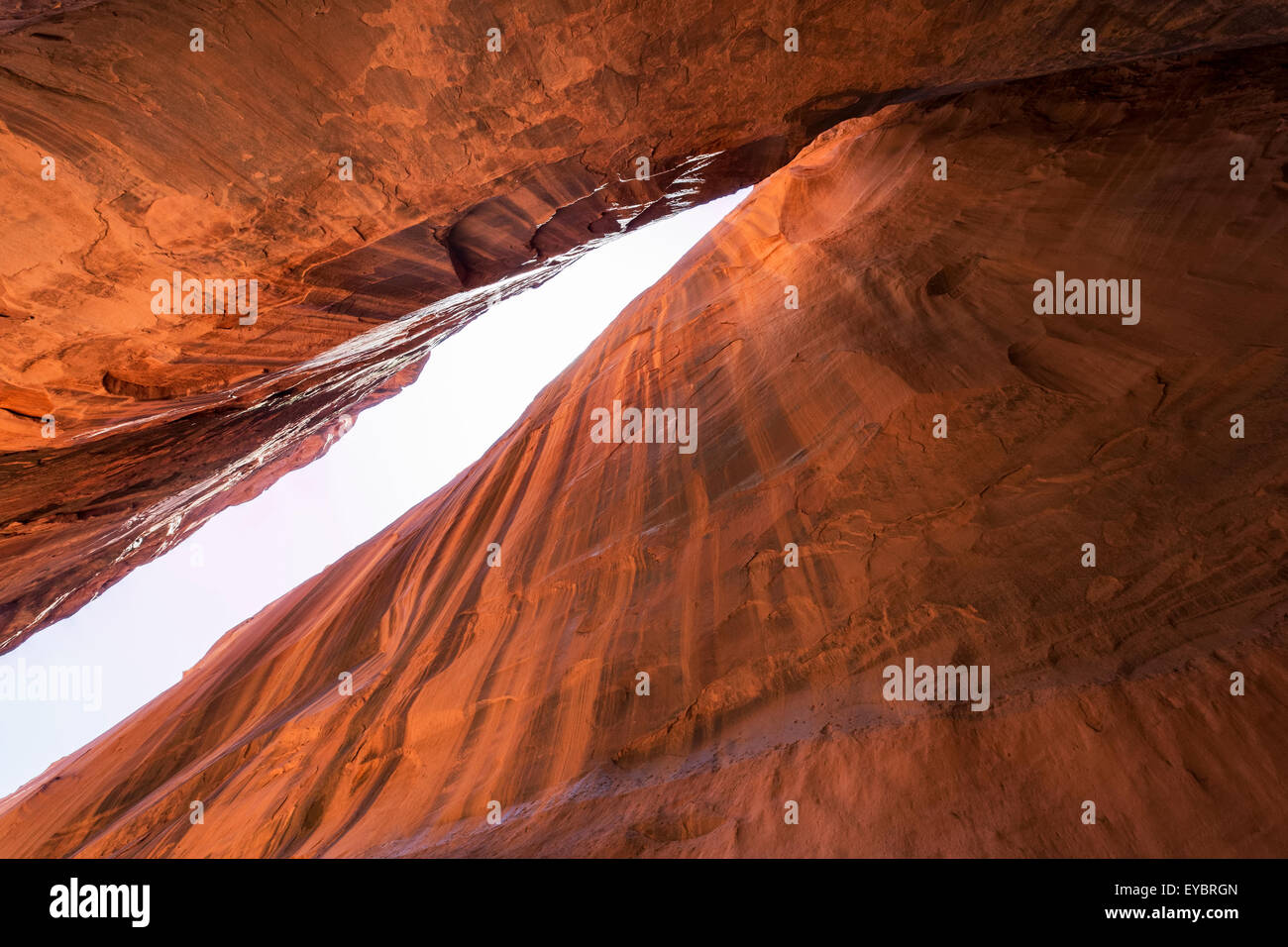Guardando attraverso una fessura canyon, Grand Staircase-Escalante monumento nazionale, Utah Foto Stock