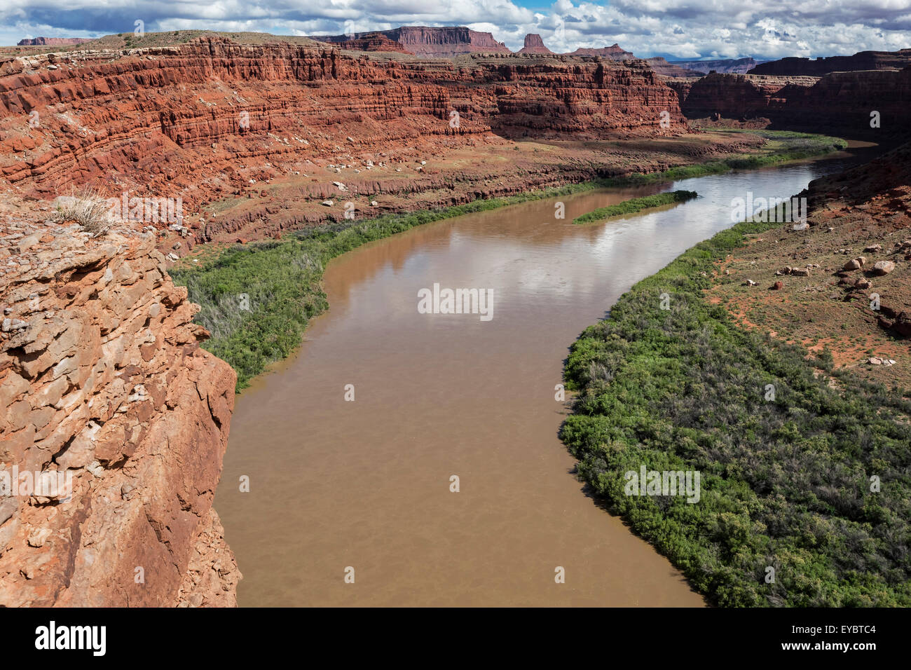 Il fiume Colorado, vicino Canyonlands, Moab, Utah Foto Stock