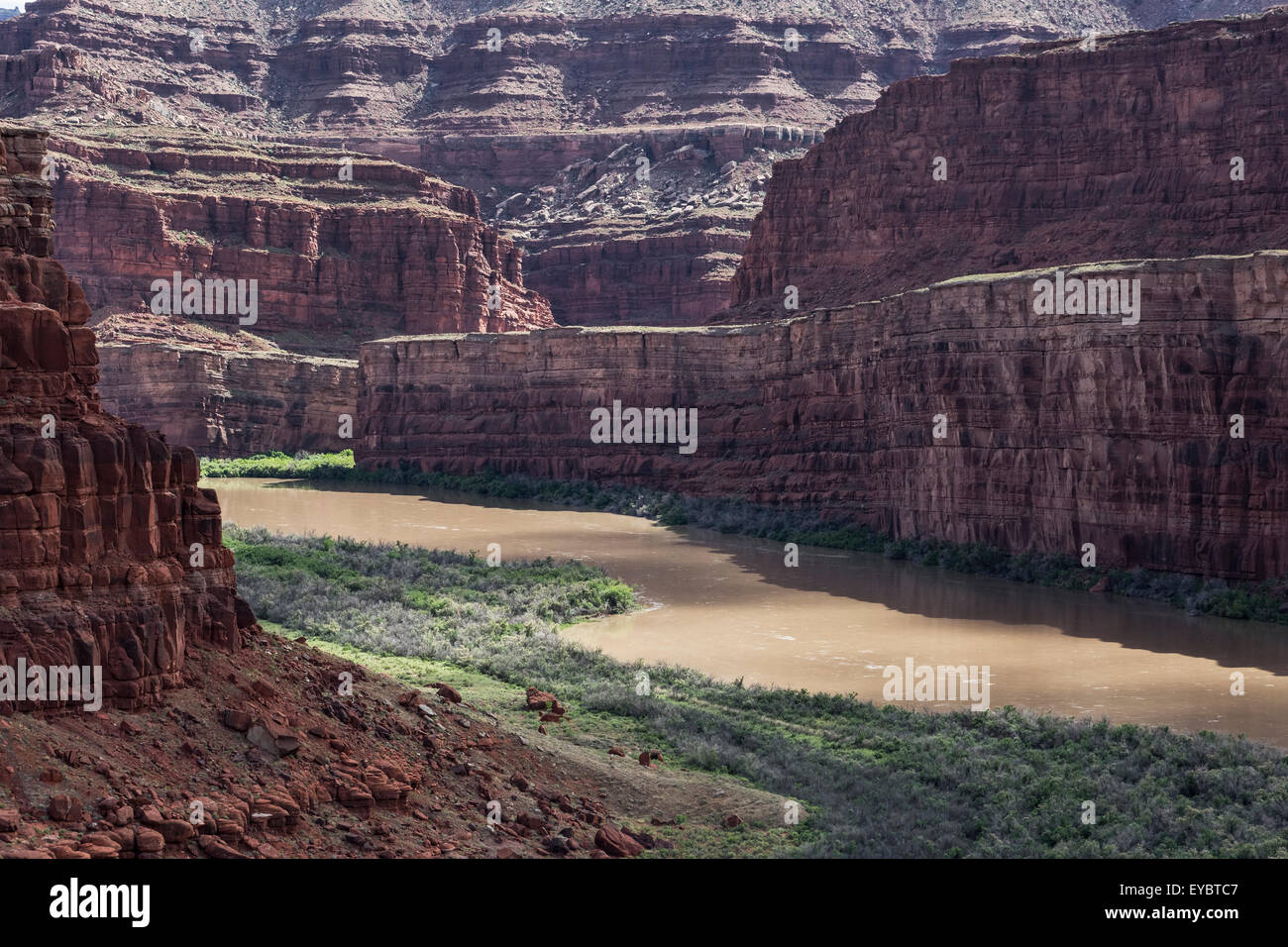 Colorado River vicino Canyonlands, Moab, Utah Foto Stock