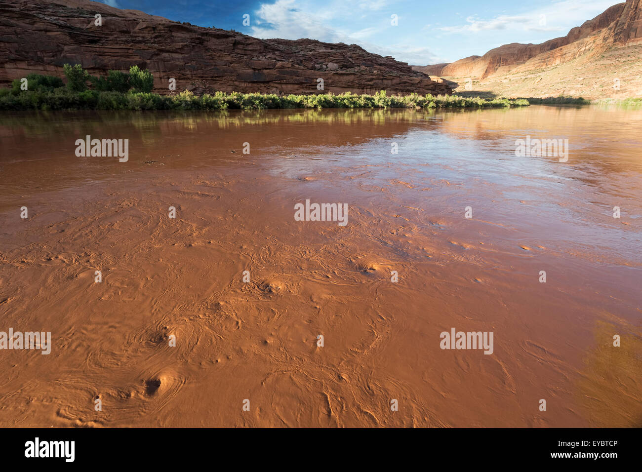 Il fiume Colorado, Moab, Utah Foto Stock