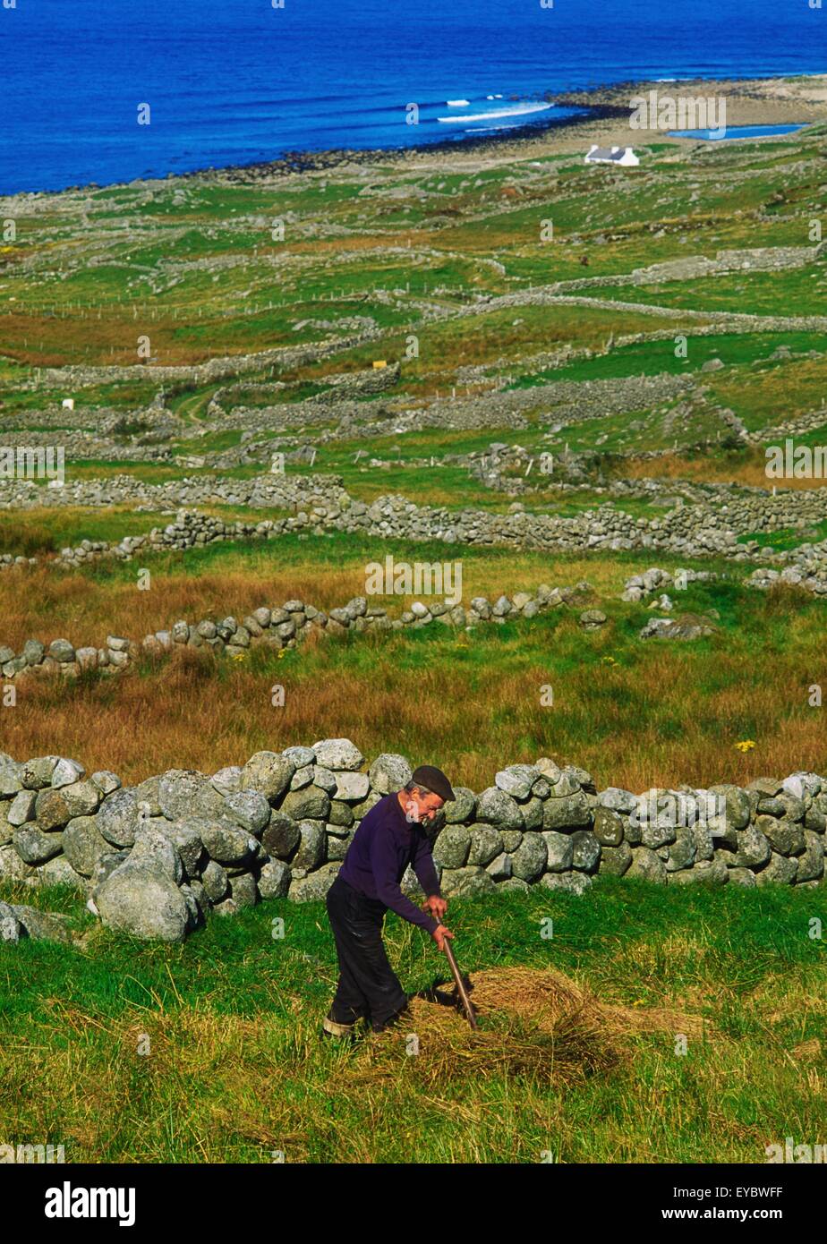 Bloody Foreland, Co Donegal, Irlanda; Uomo rendendo il fieno Foto Stock