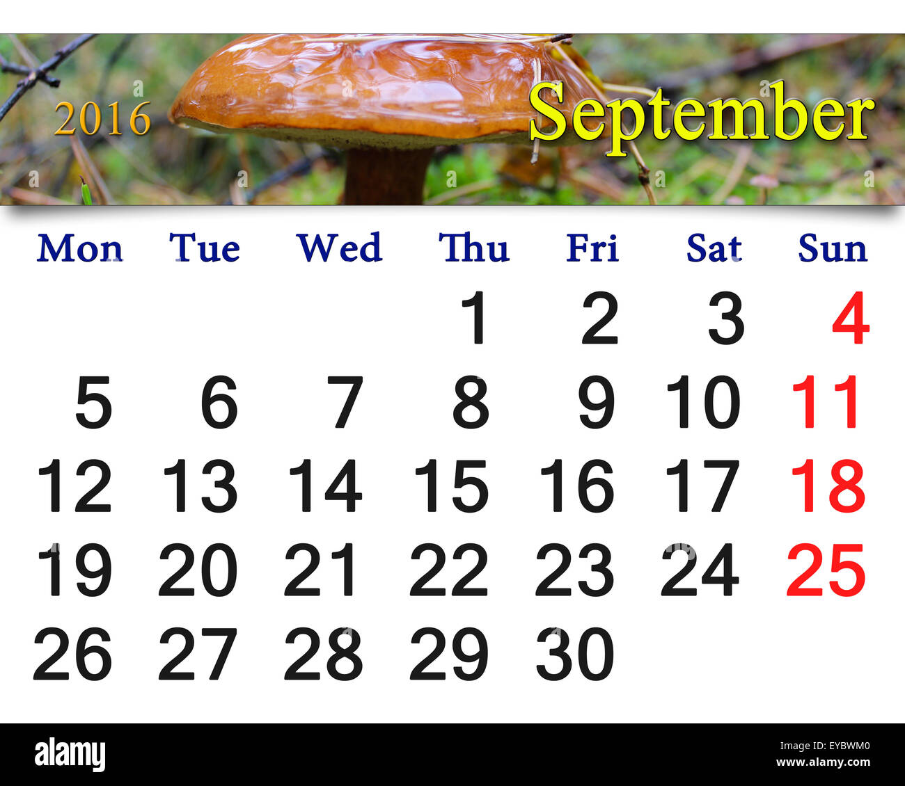 Calendario per il mese di settembre 2016 con grosso fungo nella foresta Foto Stock