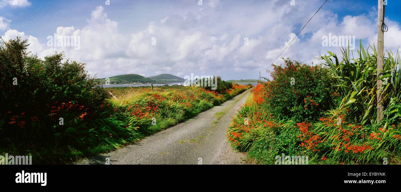 Tourist sulla strada di campagna, Cahirciveen, Co. Kerry, Irlanda Foto Stock