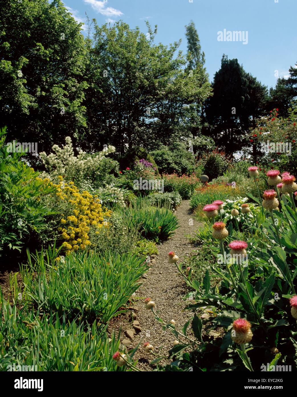 Primrose Hill Gardens, Co Dublin, Irlanda; doppio bordo erbacee Foto Stock