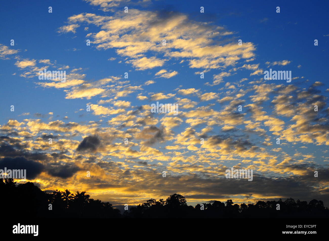 Cielo mattutino e Jungle, Kandy, Sri Lanka, Asia Foto Stock