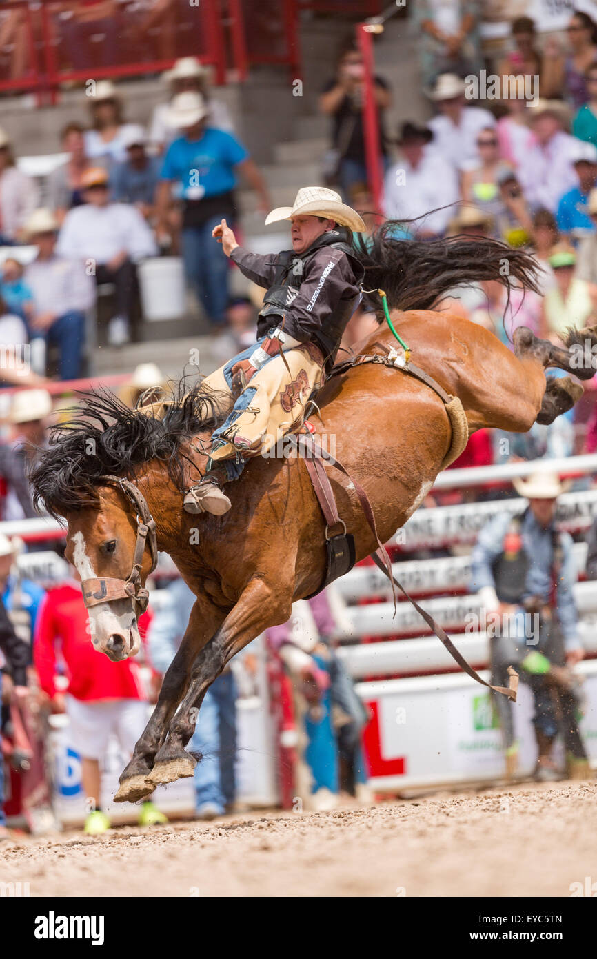 Cheyenne, Wyoming negli Stati Uniti. 26 Luglio, 2015. Bareback rider Tanner Aus di granito cade, Minnesota si blocca a vincere i campionati Bareback allo Cheyenne Frontier Days rodeo nel Parco di frontiera Arena Luglio 26, 2015 in Cheyenne Wyoming. Giorni di frontiera celebra le tradizioni del cowboy del west con un rodeo, parata e fiera. Foto Stock