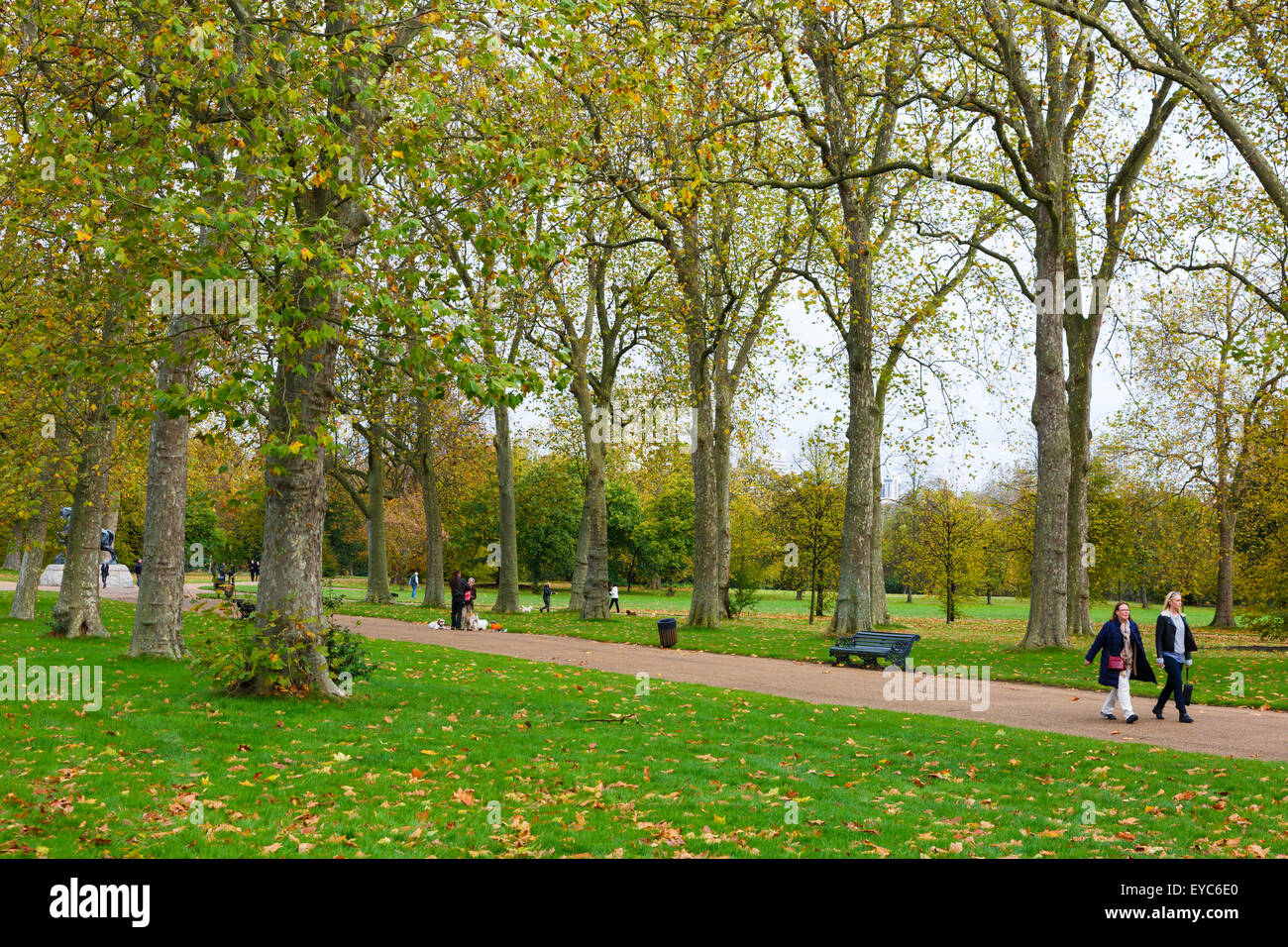 Giardino e alberi. I giardini di Kensington. London, England, Regno Unito, Europa. Foto Stock