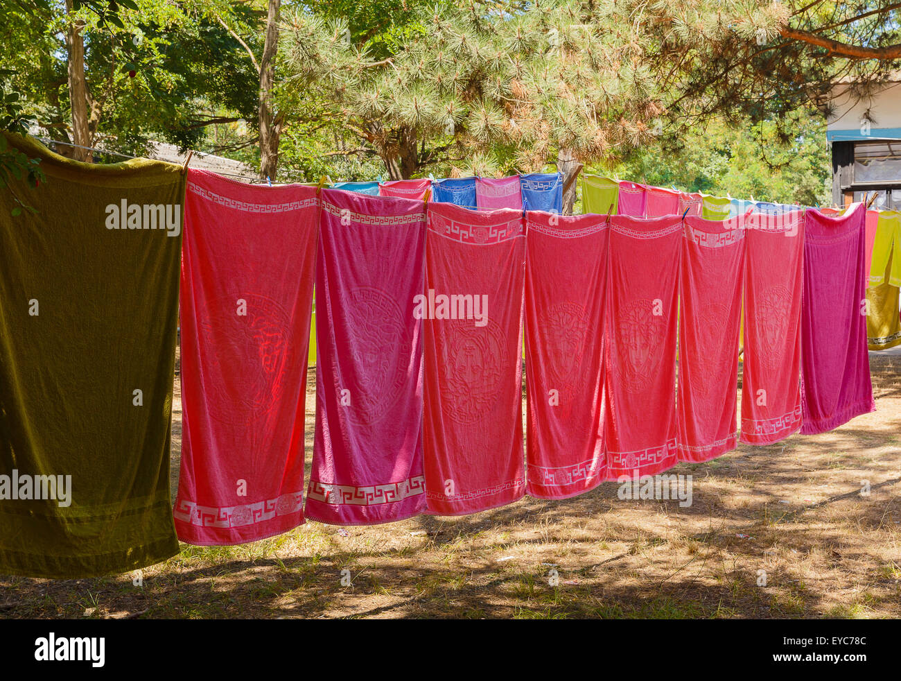 Asciugamani colorati appeso a una fune nel bosco Foto Stock