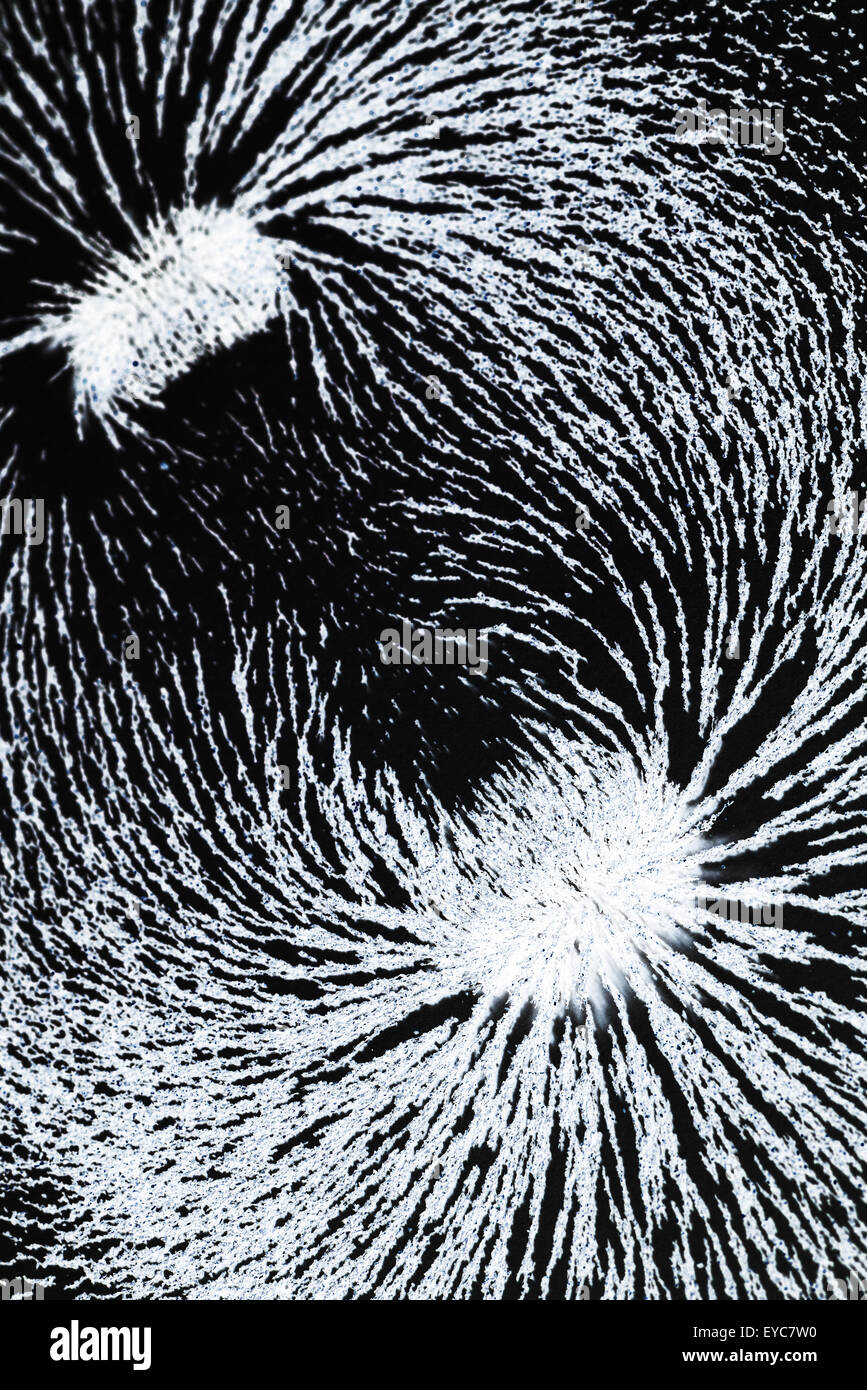 Attrazione e repulsione ferro particelle metalliche allineare lungo i campi magnetici delle linee create da un magnete a barra invisibile per vedere Foto Stock
