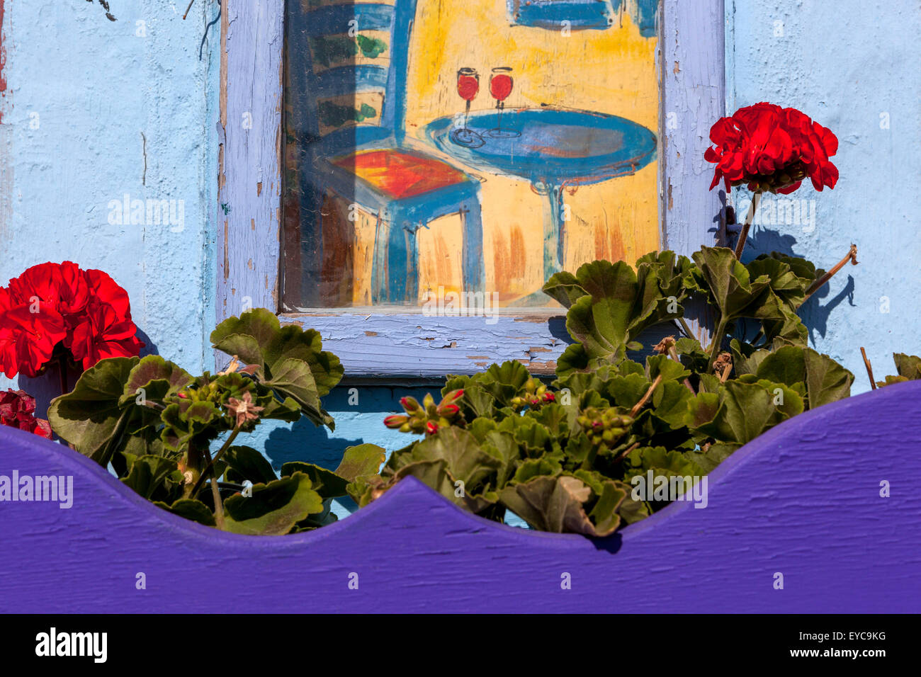 Pelargonio in una pentola blu di legno, arte, Firostefani, Santorini, Cicladi, Isole greche, Grecia dettaglio Foto Stock