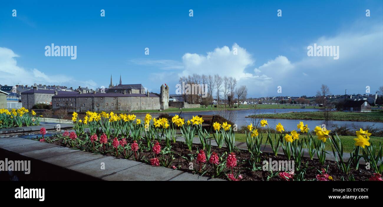 Giunchiglie in un aiuola di fiori con il fiume e gli edifici in background; Enniskillen County Fermanagh, Irlanda Foto Stock
