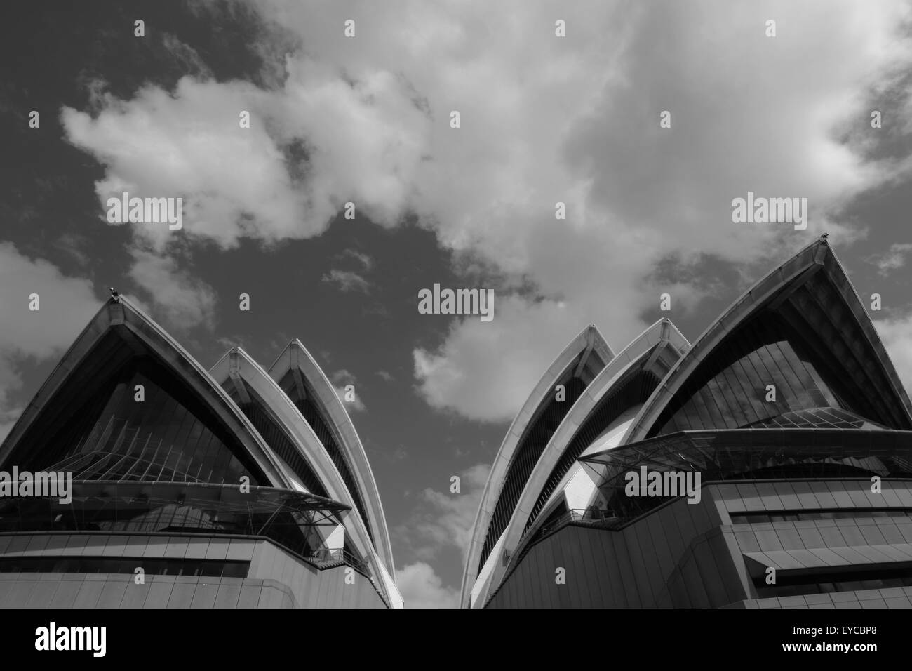 Sydney Opera House close up in bianco e nero Foto Stock